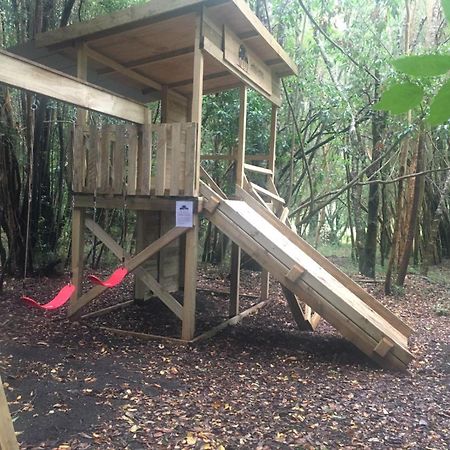 Cabanas Ensenada Bosque Nativo Экстерьер фото
