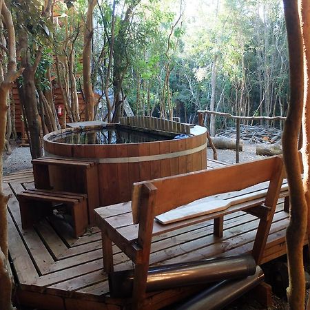 Cabanas Ensenada Bosque Nativo Экстерьер фото
