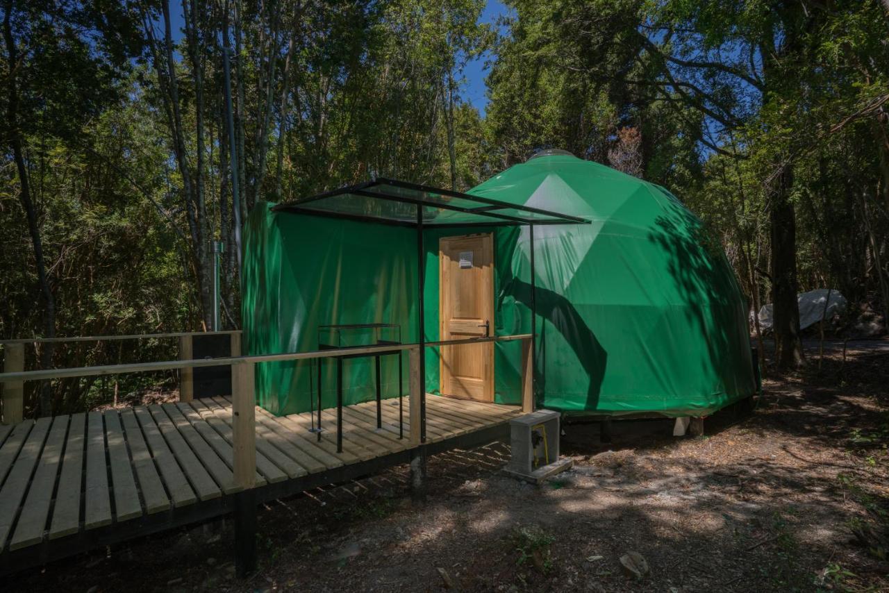 Cabanas Ensenada Bosque Nativo Экстерьер фото