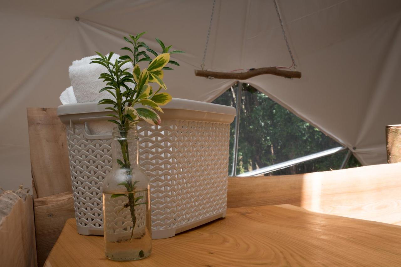 Cabanas Ensenada Bosque Nativo Экстерьер фото