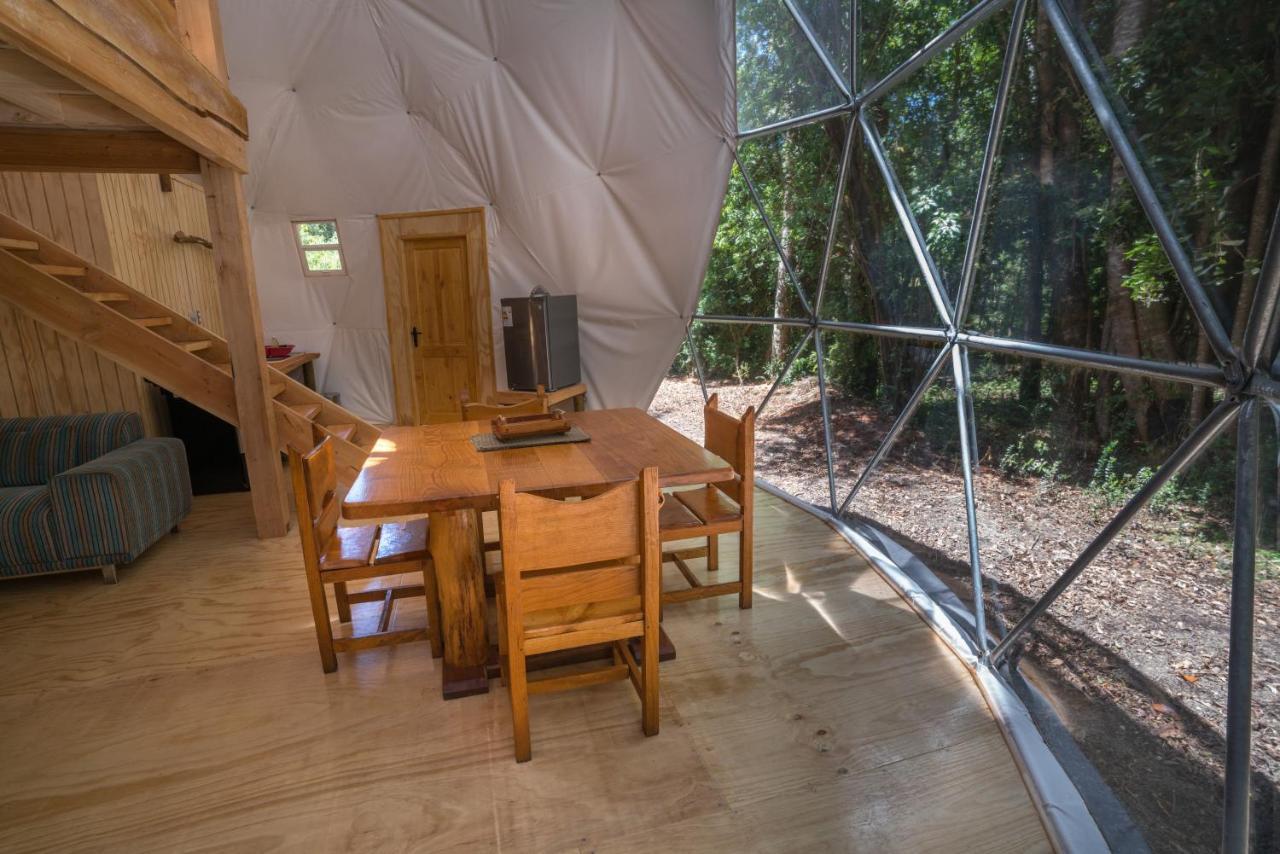 Cabanas Ensenada Bosque Nativo Экстерьер фото