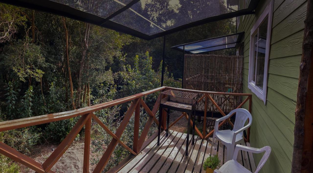 Cabanas Ensenada Bosque Nativo Экстерьер фото