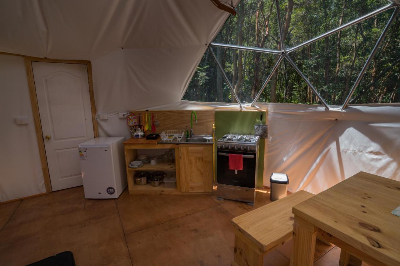 Cabanas Ensenada Bosque Nativo Экстерьер фото