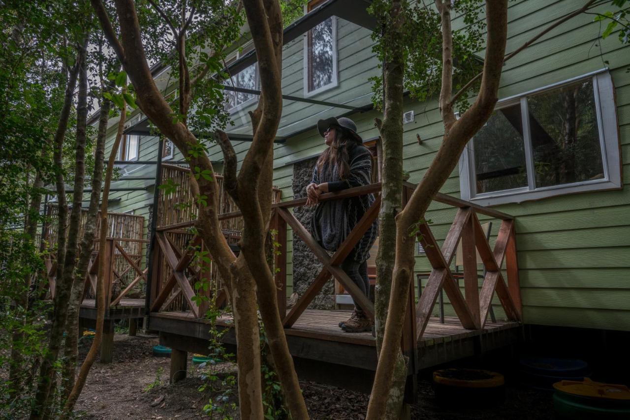 Cabanas Ensenada Bosque Nativo Экстерьер фото