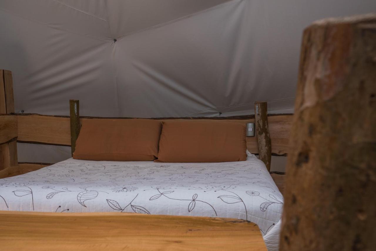 Cabanas Ensenada Bosque Nativo Экстерьер фото