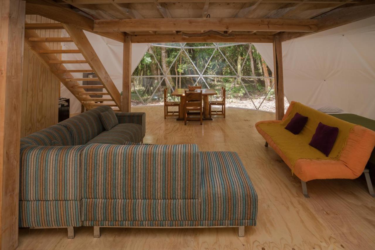 Cabanas Ensenada Bosque Nativo Экстерьер фото