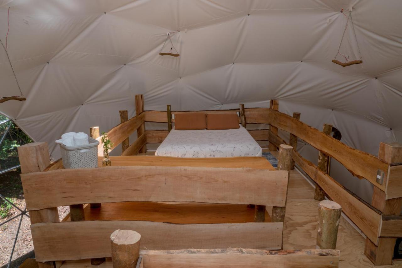 Cabanas Ensenada Bosque Nativo Экстерьер фото