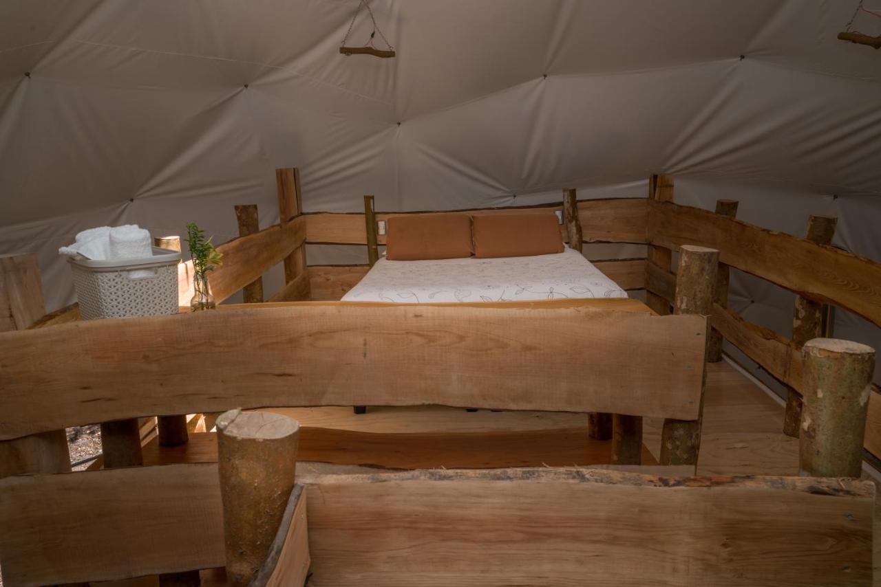 Cabanas Ensenada Bosque Nativo Экстерьер фото