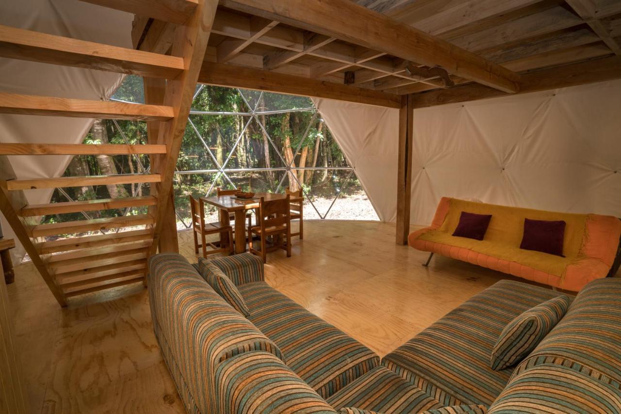 Cabanas Ensenada Bosque Nativo Экстерьер фото