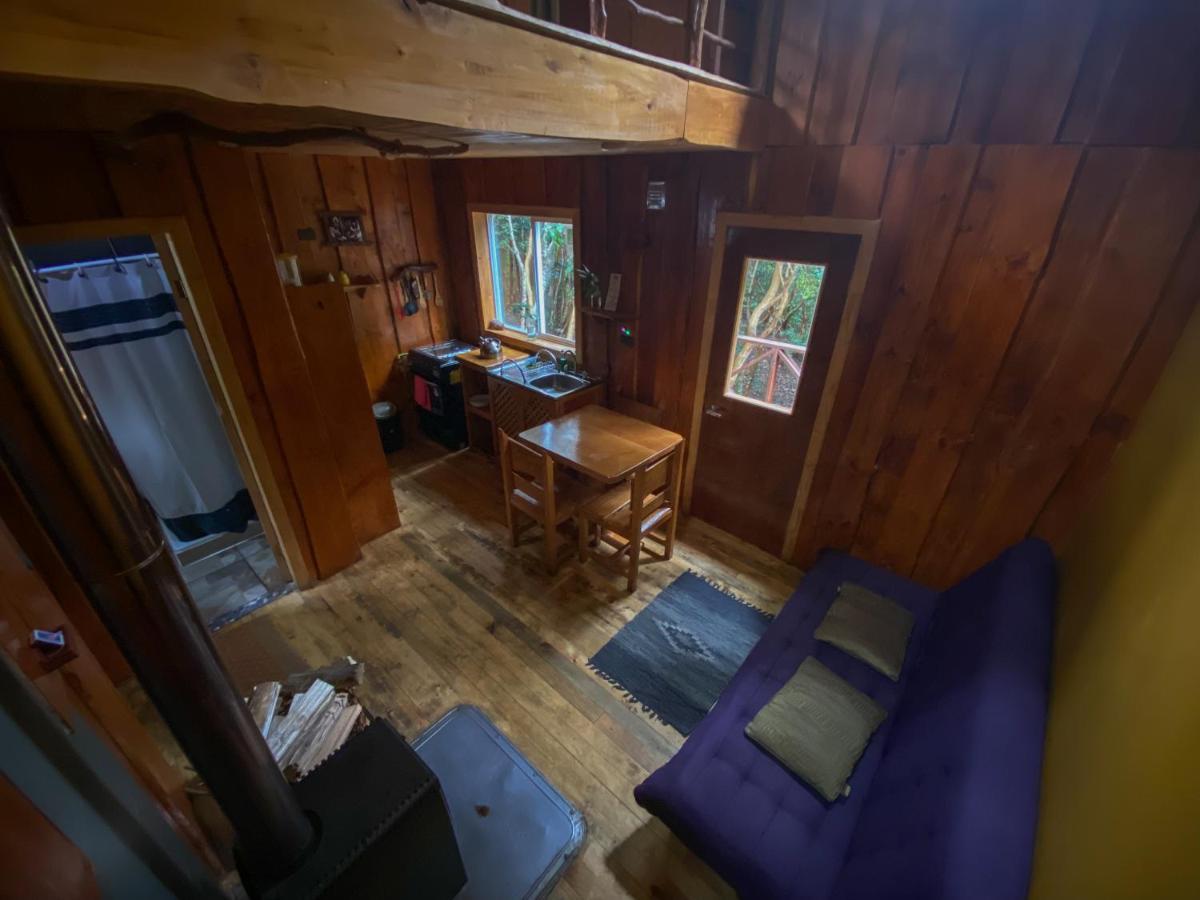 Cabanas Ensenada Bosque Nativo Экстерьер фото