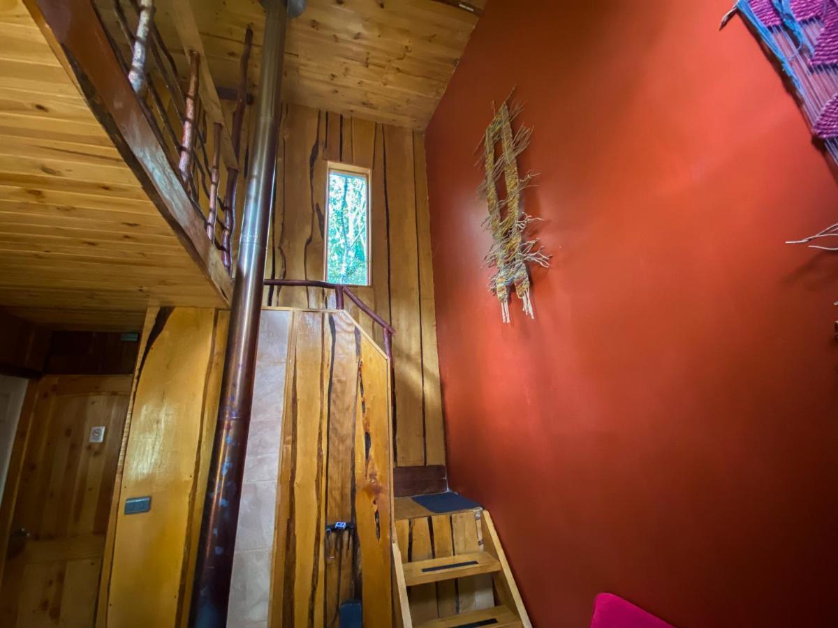 Cabanas Ensenada Bosque Nativo Экстерьер фото