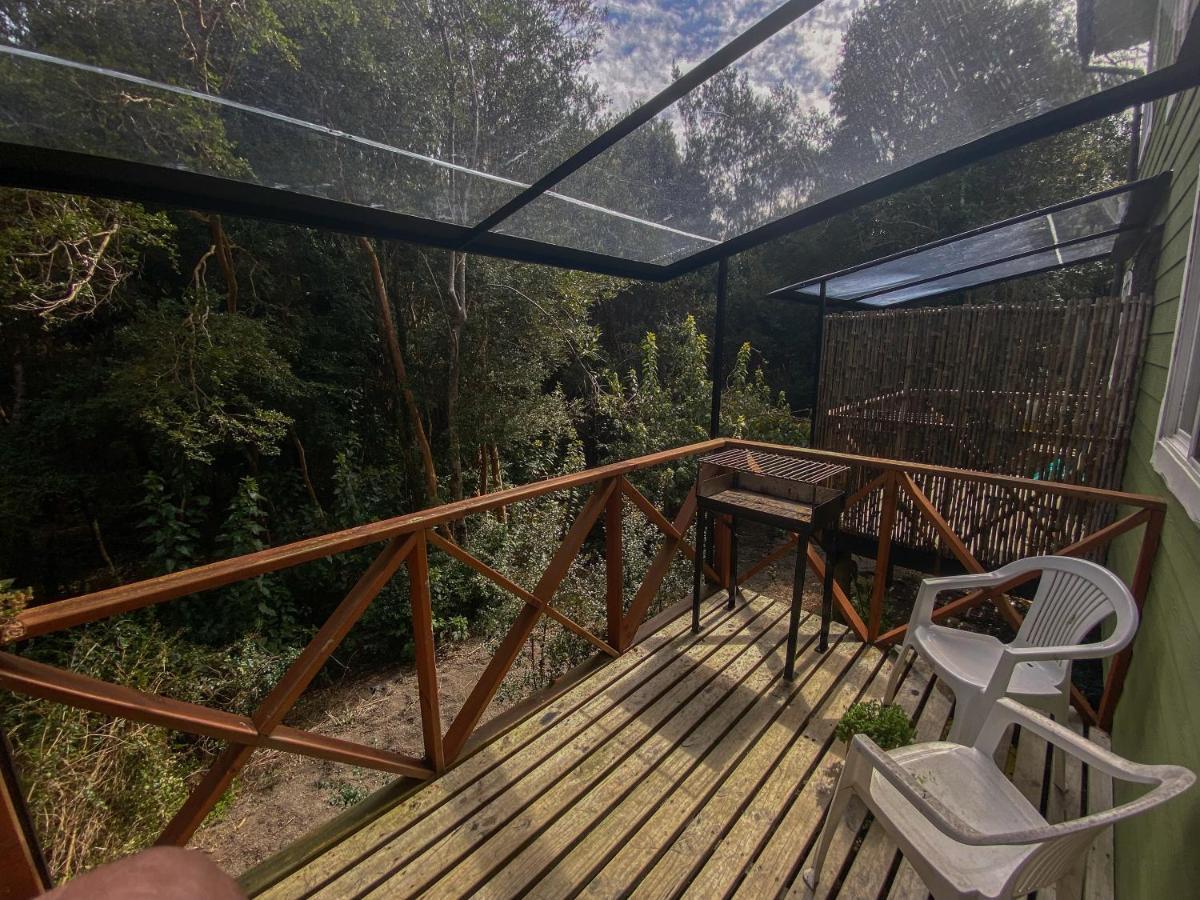 Cabanas Ensenada Bosque Nativo Экстерьер фото