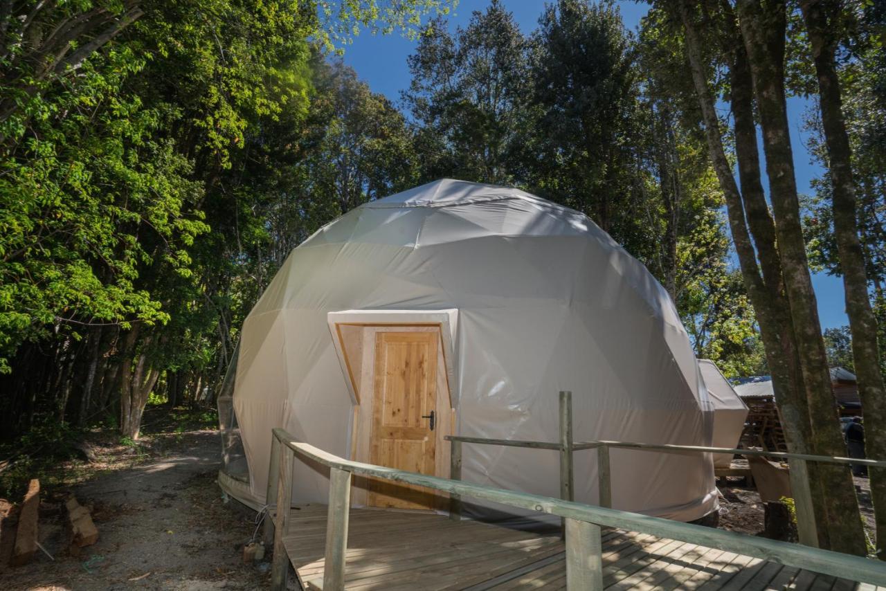 Cabanas Ensenada Bosque Nativo Экстерьер фото