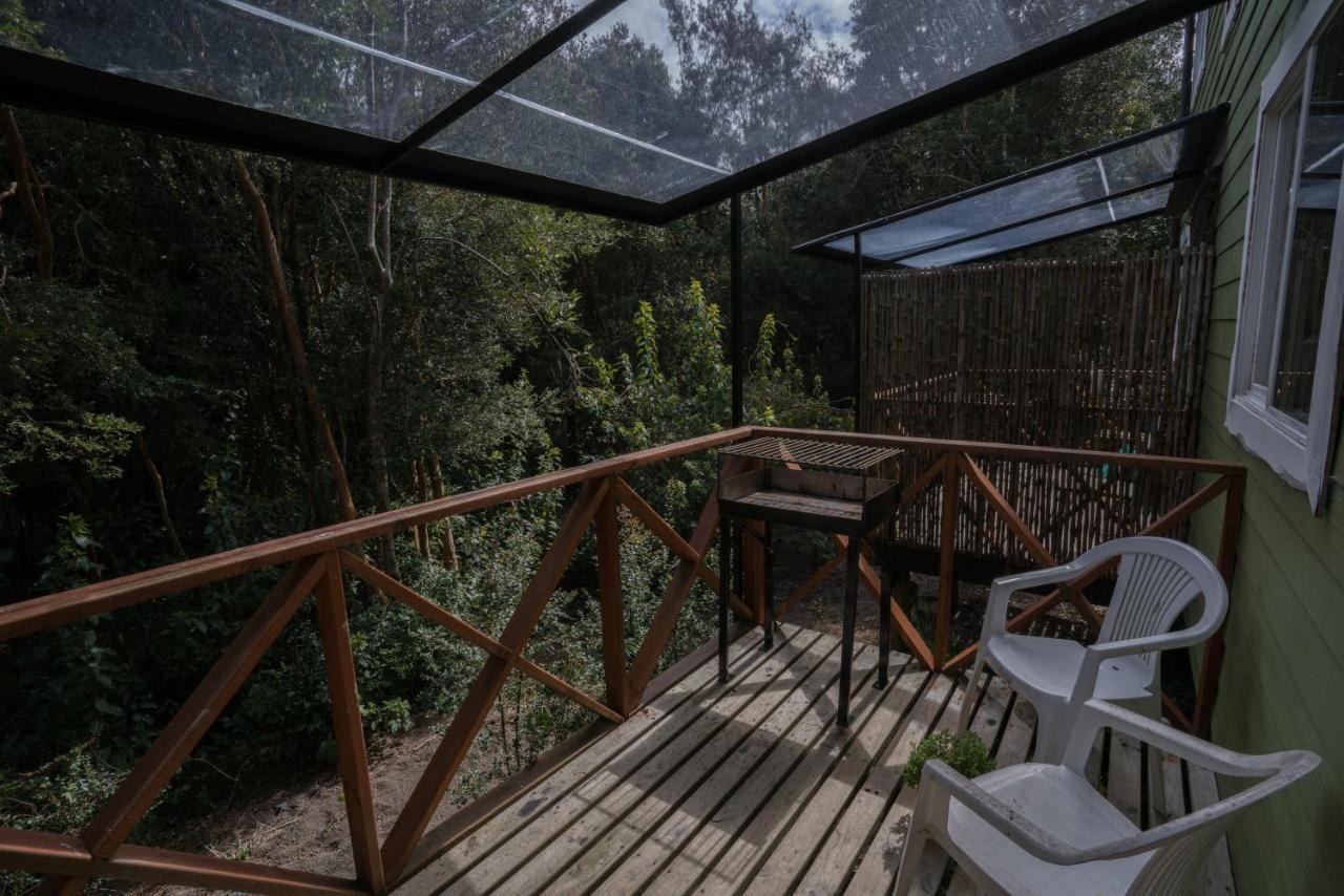 Cabanas Ensenada Bosque Nativo Экстерьер фото