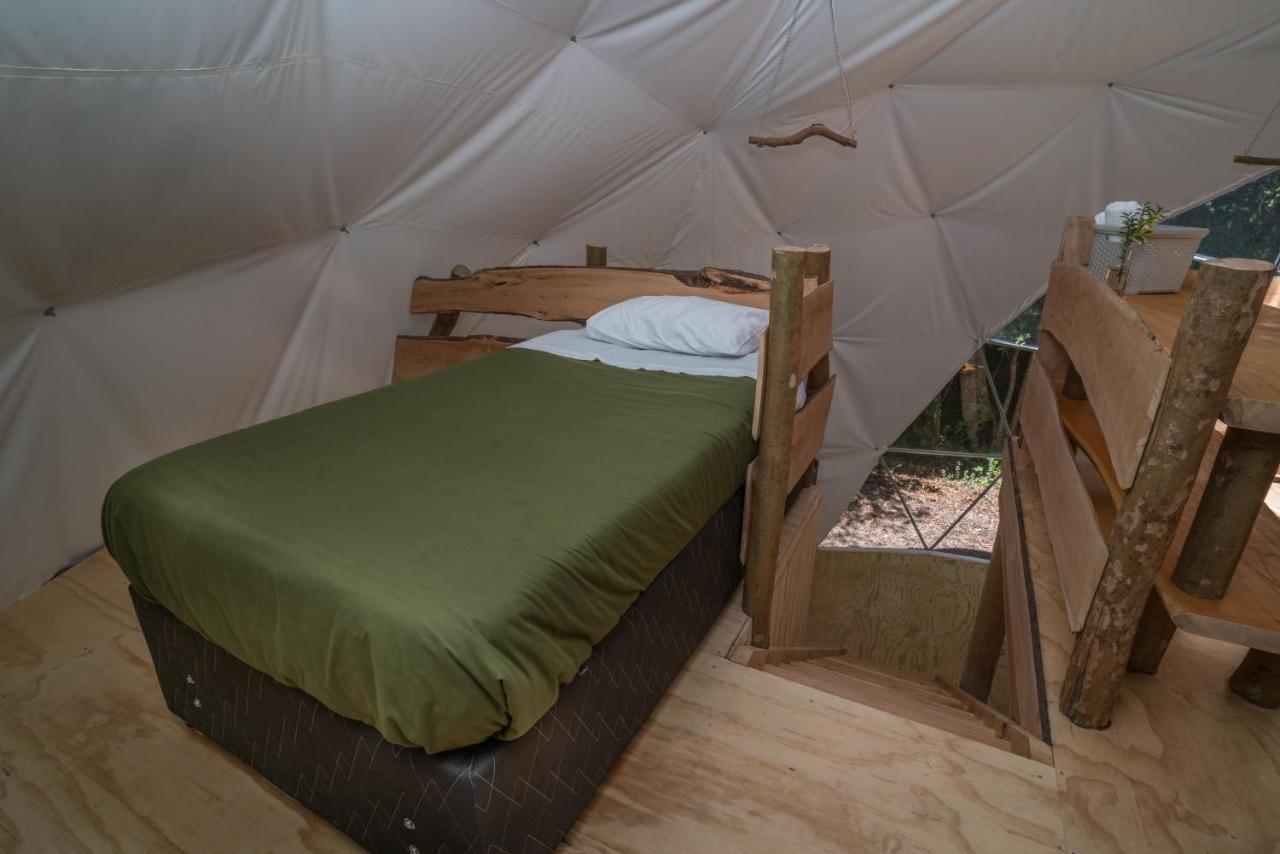 Cabanas Ensenada Bosque Nativo Экстерьер фото