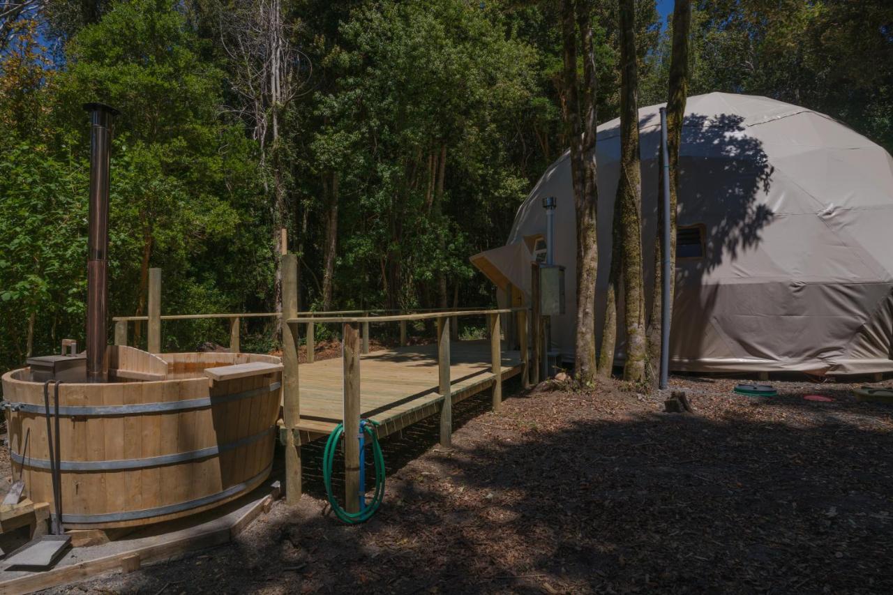 Cabanas Ensenada Bosque Nativo Экстерьер фото