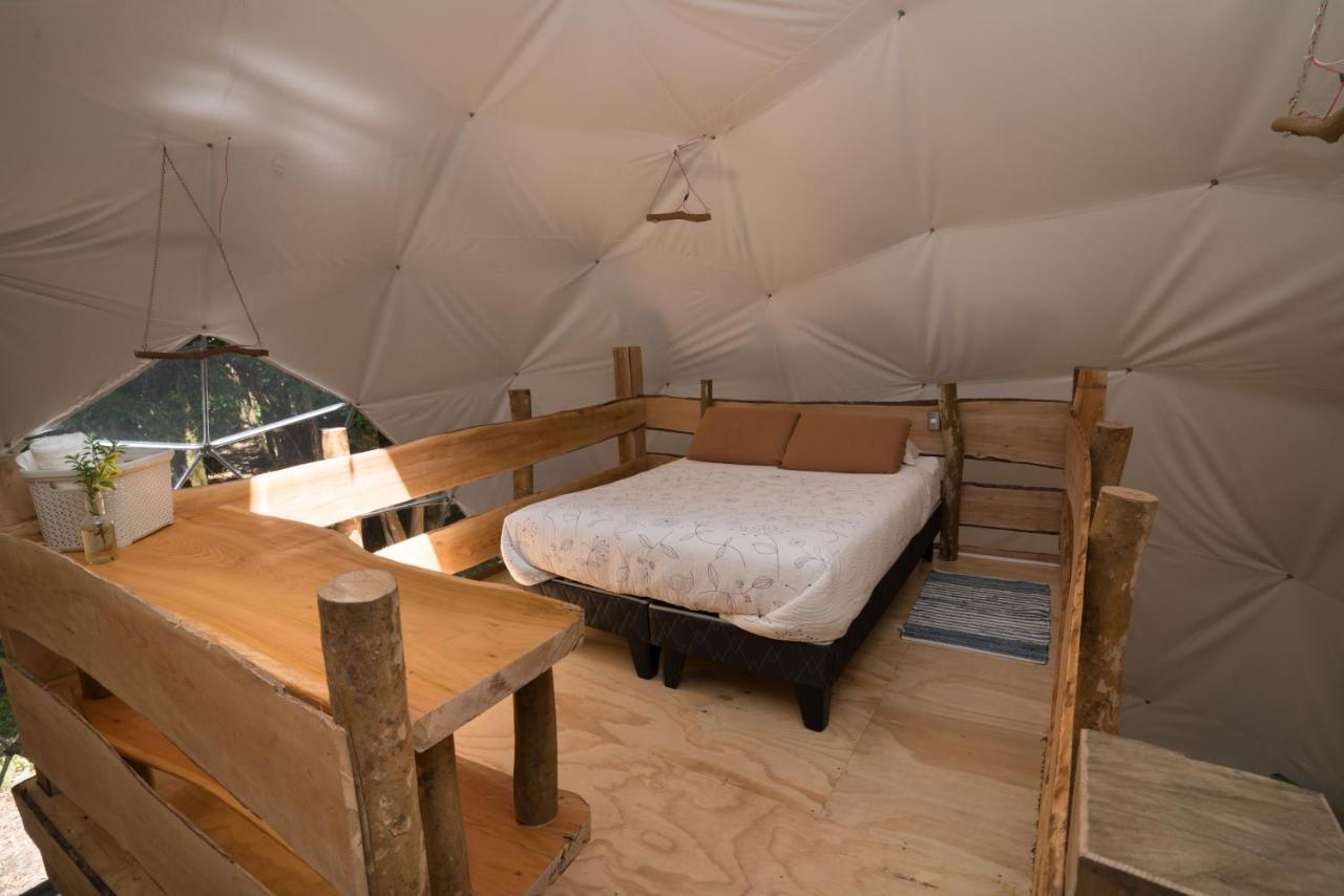Cabanas Ensenada Bosque Nativo Экстерьер фото