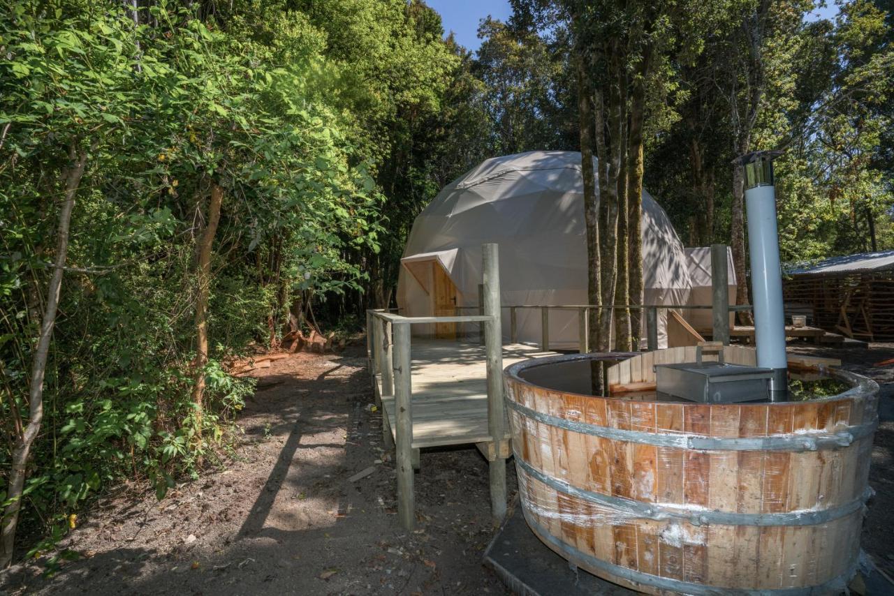 Cabanas Ensenada Bosque Nativo Экстерьер фото