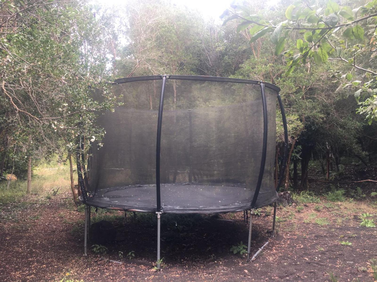 Cabanas Ensenada Bosque Nativo Экстерьер фото