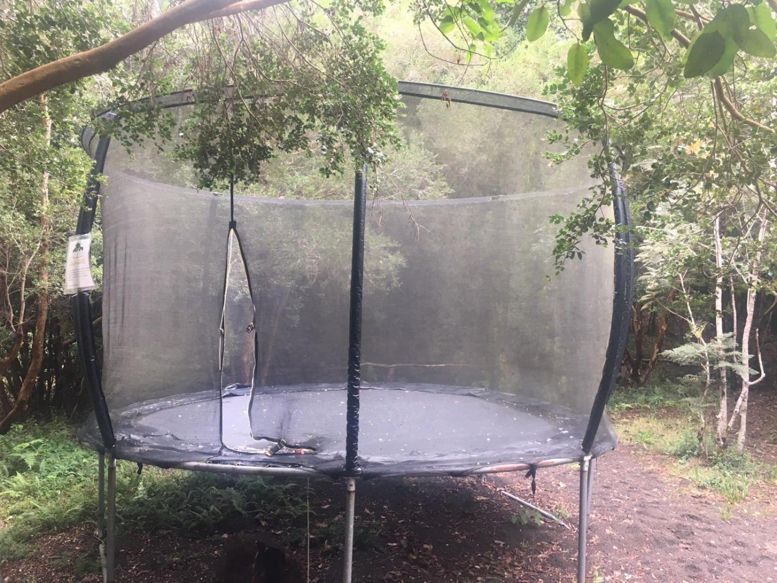 Cabanas Ensenada Bosque Nativo Экстерьер фото