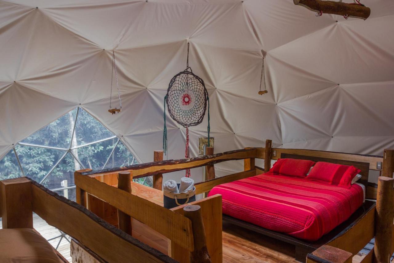 Cabanas Ensenada Bosque Nativo Экстерьер фото