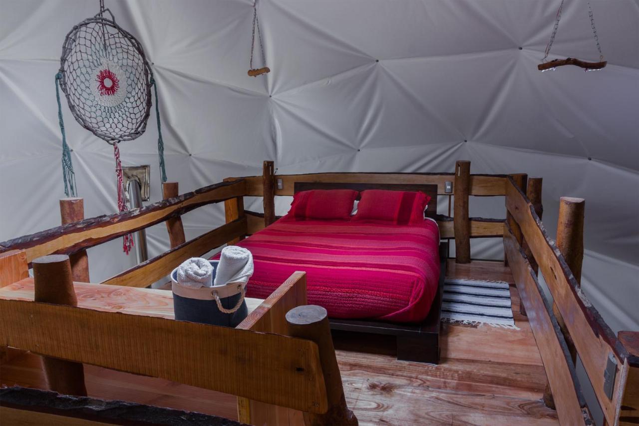 Cabanas Ensenada Bosque Nativo Экстерьер фото