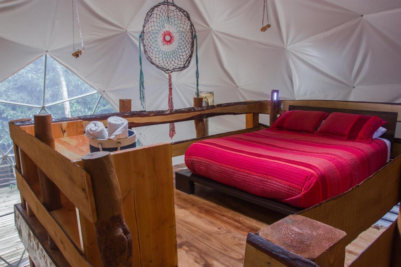 Cabanas Ensenada Bosque Nativo Экстерьер фото